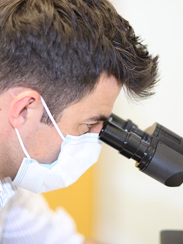 Image is not available